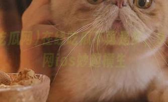 在线吃瓜不再是梦，91吃瓜网ios妙趣横生