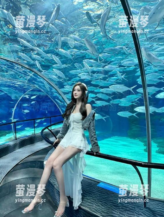 开启黑料不打烊苹果版模式，八卦快进键开启，我的滑动指尖拯救了无聊，哈哈。