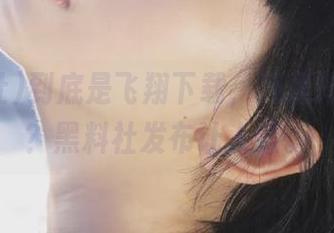 到底是飞翔下载，还是摔倒下载？黑料社发布让人懵。